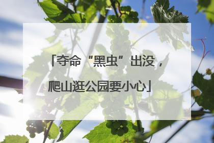 夺命“黑虫”出没，爬山逛公园要小心