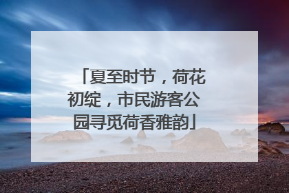 夏至时节，荷花初绽，市民游客公园寻觅荷香雅韵