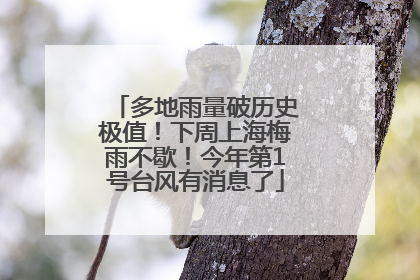 多地雨量破历史极值！下周上海梅雨不歇！今年第1号台风有消息了