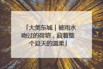 大美东城｜被雨水吻过的荷塘，藏着整个夏天的温柔