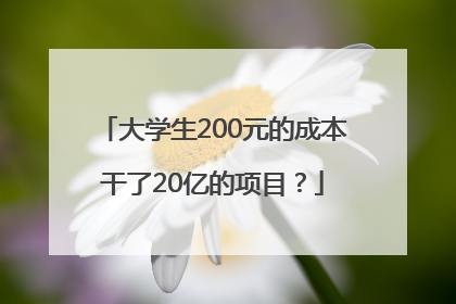 大学生200元的成本干了20亿的项目？