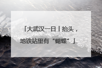 大武汉一日丨抬头，地铁站里有“蝴蝶”