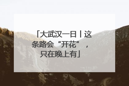 大武汉一日丨这条路会“开花”，只在晚上有