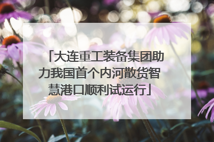 大连重工装备集团助力我国首个内河散货智慧港口顺利试运行