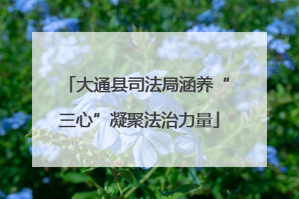大通县司法局涵养“三心”凝聚法治力量