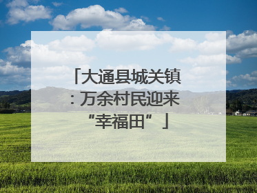 大通县城关镇：万余村民迎来“幸福田”