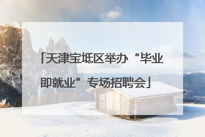 天津宝坻区举办“毕业即就业”专场招聘会