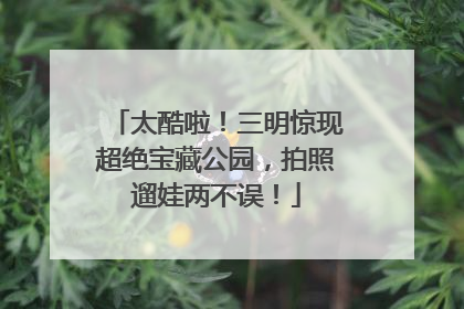 太酷啦！三明惊现超绝宝藏公园，拍照遛娃两不误！