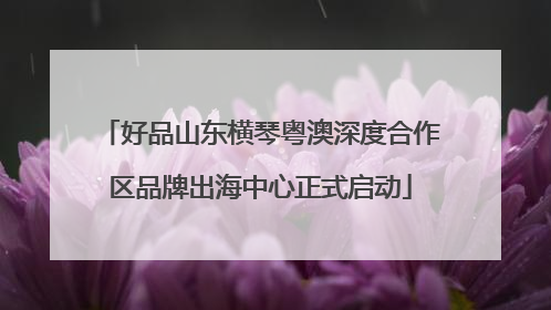 好品山东横琴粤澳深度合作区品牌出海中心正式启动