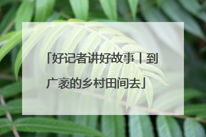 好记者讲好故事丨到广袤的乡村田间去