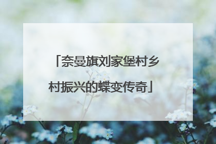 奈曼旗刘家堡村乡村振兴的蝶变传奇