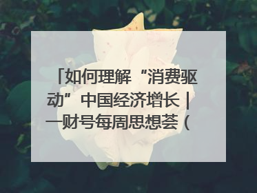 如何理解“消费驱动”中国经济增长｜一财号每周思想荟（第22期）
