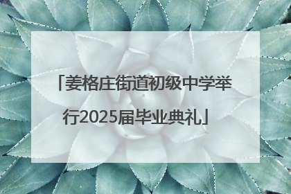 姜格庄街道初级中学举行2025届毕业典礼