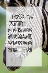 快递“从天而降”！河南探索寄递物流与低空经济融合发展｜一线