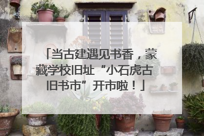 当古建遇见书香，蒙藏学校旧址“小石虎古旧书市”开市啦！