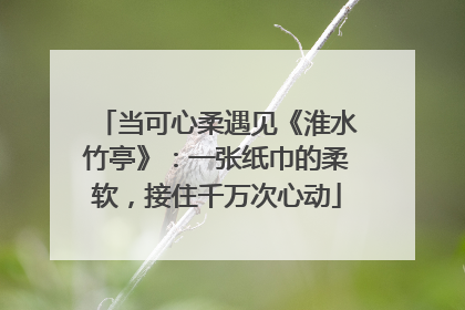 当可心柔遇见《淮水竹亭》：一张纸巾的柔软，接住千万次心动