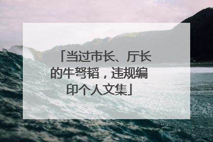 当过市长、厅长的牛弩韬，违规编印个人文集
