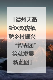 德州天衢新区赵虎镇聘乡村振兴“智囊团” 绘就发展新蓝图