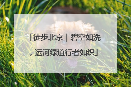 徒步北京｜碧空如洗，运河绿道行者如织