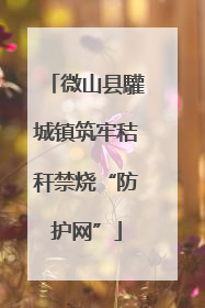微山县驩城镇筑牢秸秆禁烧“防护网”