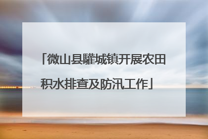 微山县驩城镇开展农田积水排查及防汛工作