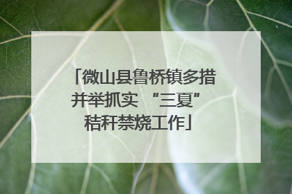 微山县鲁桥镇多措并举抓实 “三夏” 秸秆禁烧工作
