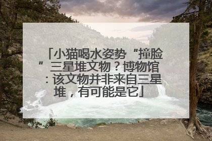 小猫喝水姿势“撞脸”三星堆文物？博物馆：该文物并非来自三星堆，有可能是它
