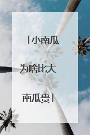 小南瓜为啥比大南瓜贵