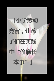 小学劳动竞赛，让孩子们在实践中“偷偷长本事”