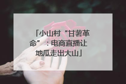 小山村“甘薯革命”：电商直播让地瓜走出大山