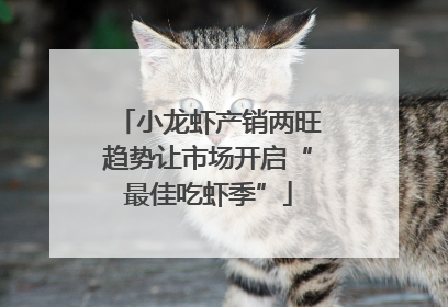 小龙虾产销两旺趋势让市场开启“最佳吃虾季”