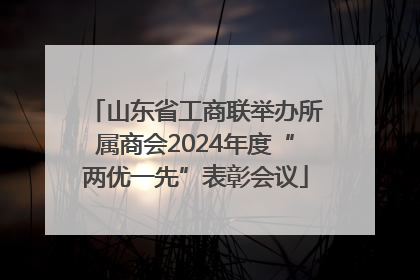 山东省工商联举办所属商会2024年度“两优一先”表彰会议