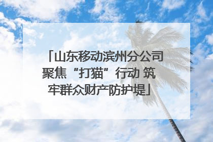 山东移动滨州分公司聚焦“打猫”行动 筑牢群众财产防护堤