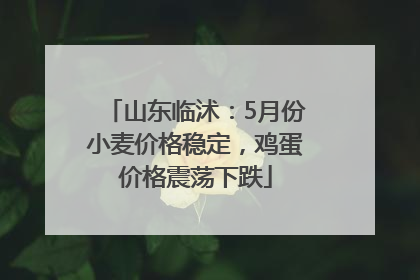 山东临沭：5月份小麦价格稳定，鸡蛋价格震荡下跌
