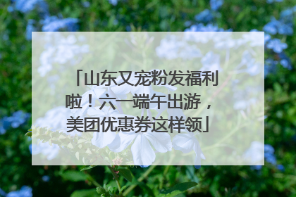 山东又宠粉发福利啦！六一端午出游，美团优惠券这样领