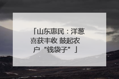 山东惠民：洋葱喜获丰收 鼓起农户“钱袋子”