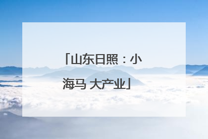 山东日照：小海马 大产业