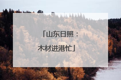 山东日照：木材进港忙