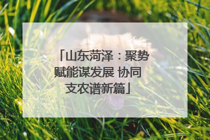 山东菏泽：聚势赋能谋发展 协同支农谱新篇
