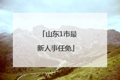 山东1市最新人事任免