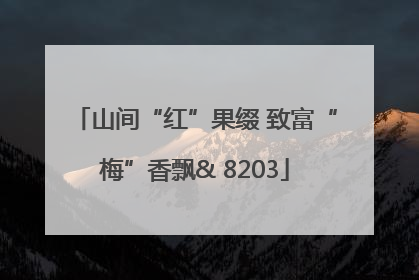 山间“红”果缀 致富“梅”香飘& 8203