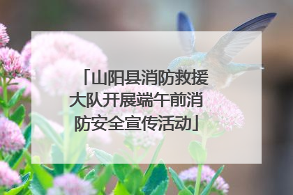山阳县消防救援大队开展端午前消防安全宣传活动