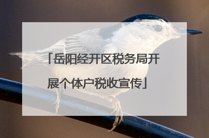 岳阳经开区税务局开展个体户税收宣传