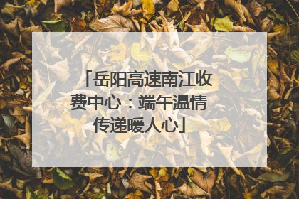 岳阳高速南江收费中心：端午温情传递暖人心