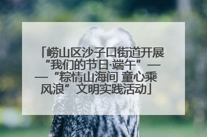 崂山区沙子口街道开展“我们的节日·端午”——“粽情山海间 童心乘风浪”文明实践活动