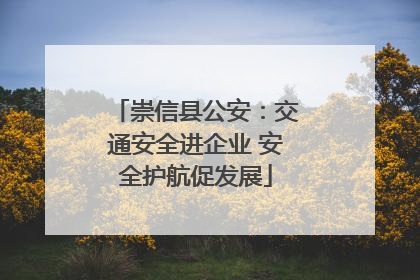 崇信县公安：交通安全进企业 安全护航促发展