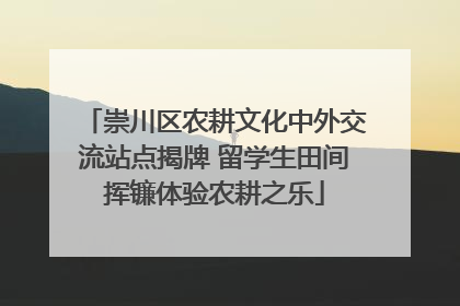 崇川区农耕文化中外交流站点揭牌 留学生田间挥镰体验农耕之乐