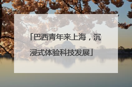 巴西青年来上海，沉浸式体验科技发展