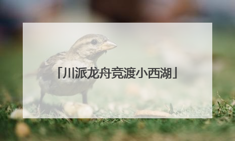 川派龙舟竞渡小西湖