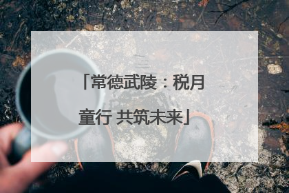 常德武陵：税月童行 共筑未来
